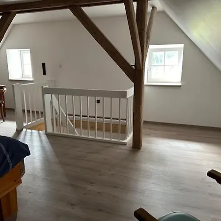 Eiche - In Mit Waldblick