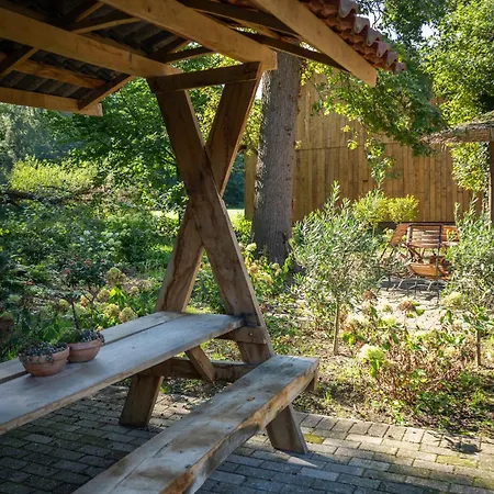 Eiche - In Mit Waldblick *