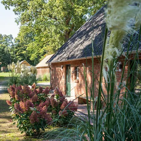 Eiche - In Mit Waldblick *