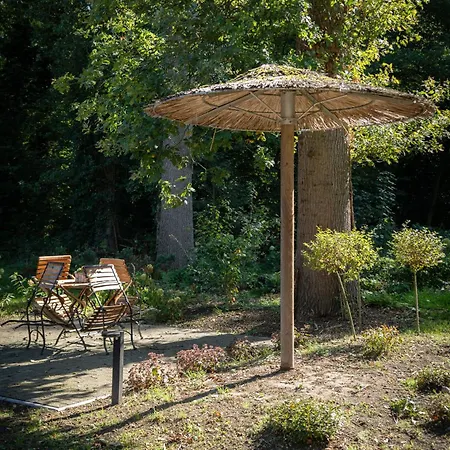 Eiche - In Mit Waldblick