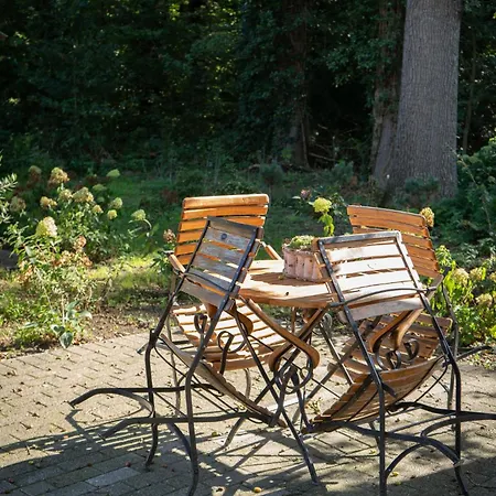 Eiche - In Mit Waldblick デートリンゲン