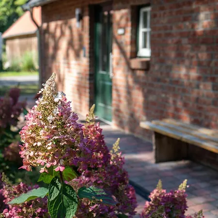 Eiche - In Mit Waldblick