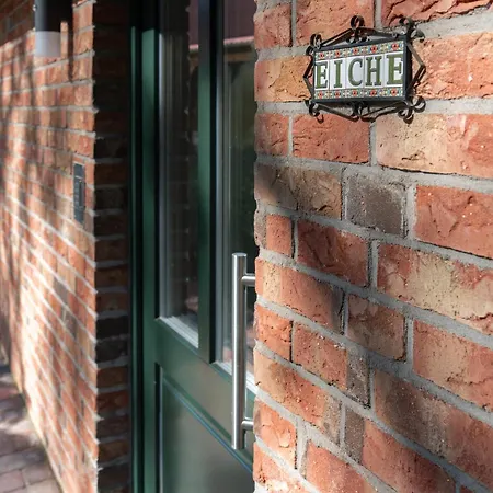 Eiche - In Mit Waldblick