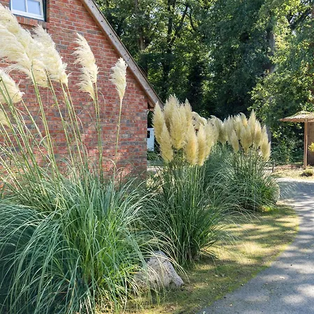 Eiche - In Mit Waldblick アパート