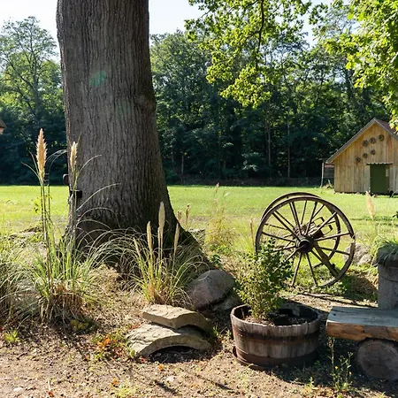 Eiche - In Mit Waldblick Lejlighed *