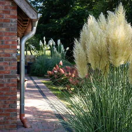 Eiche - In Mit Waldblick Lejlighed