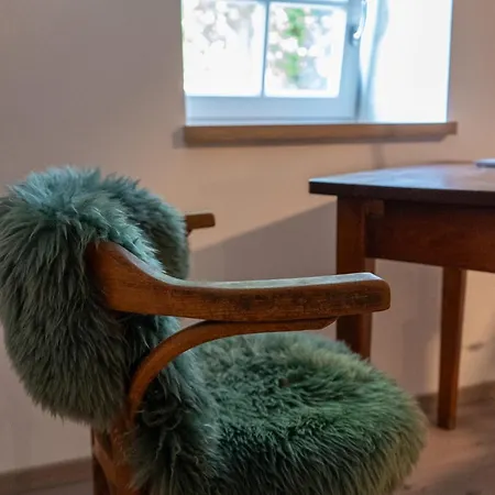 Eiche - In Mit Waldblick